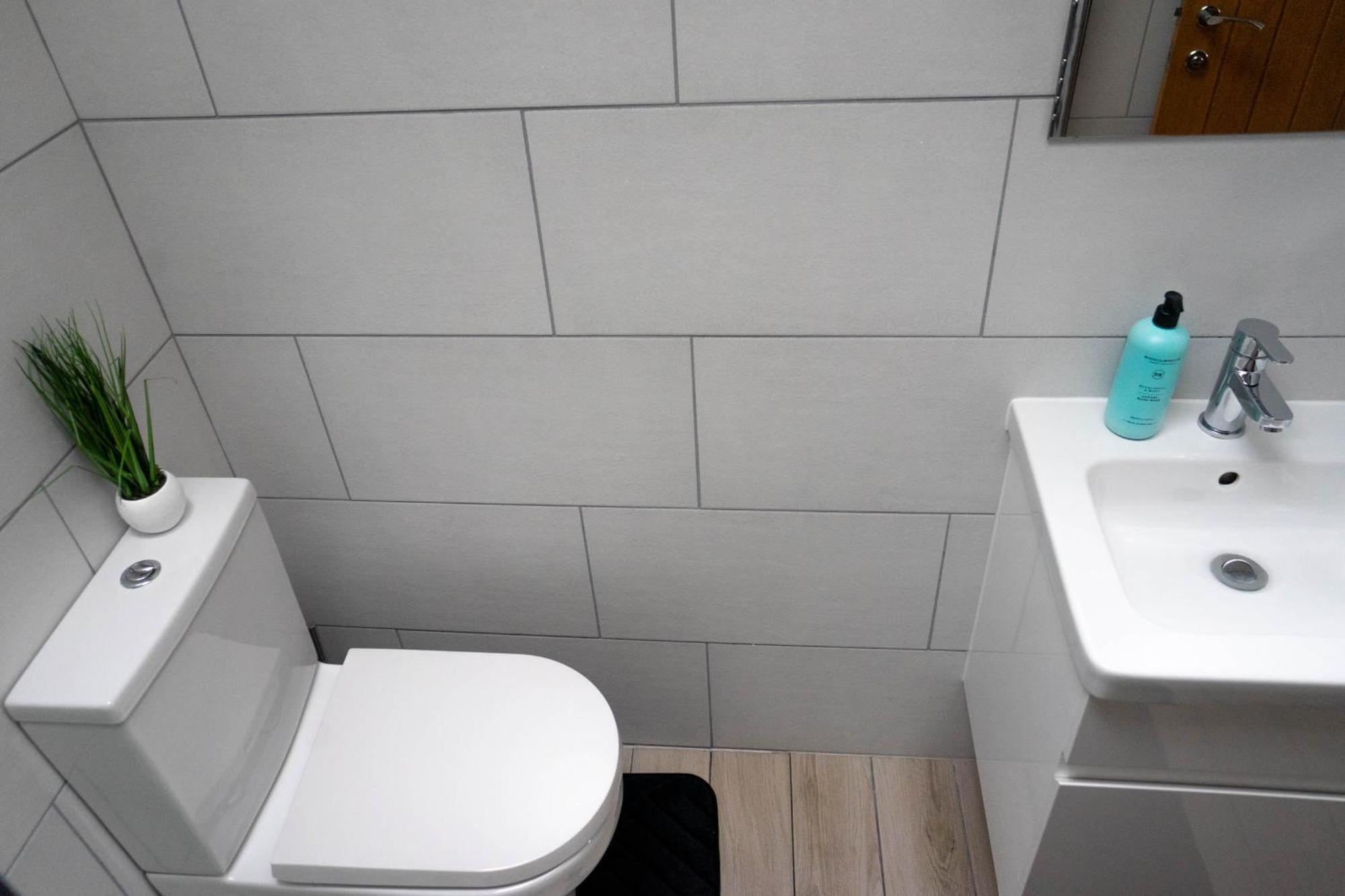 1 Bed House , Free Wifi,Free Parking,Leasure,Business Apartman Swansea Kültér fotó
